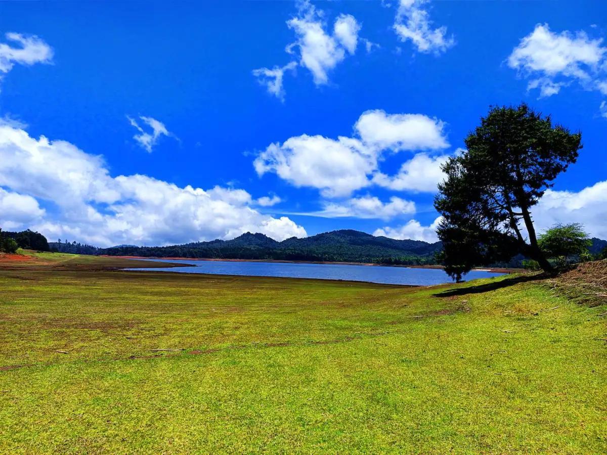 Cabana Para Pareja En El Bosque Ib Acaxochitlán Eksteriør billede